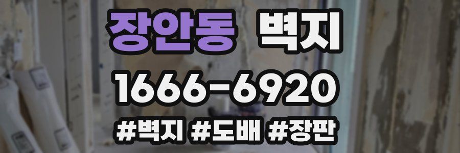 장안동 벽지