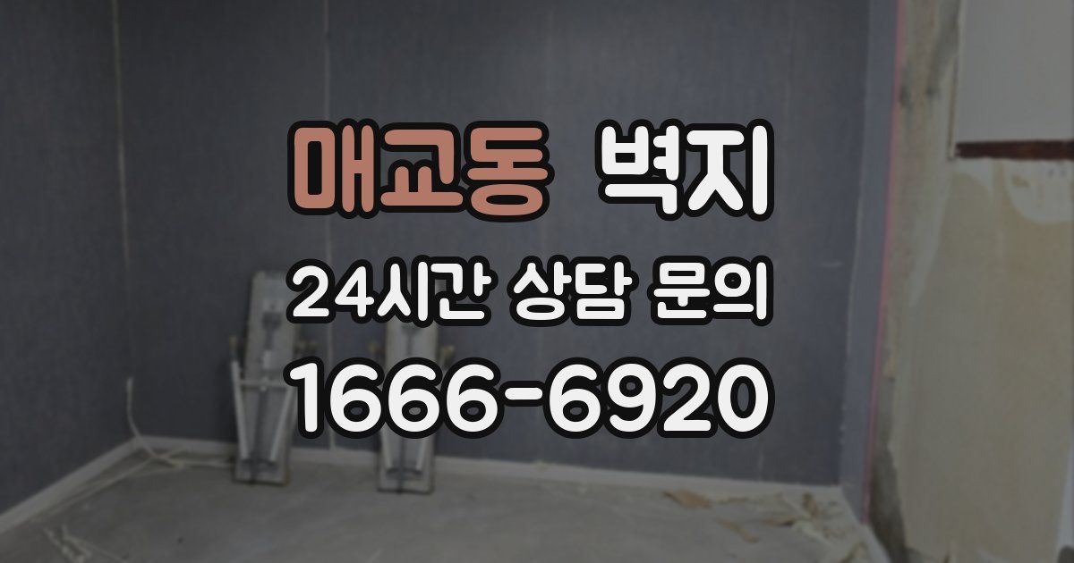 매교동 벽지