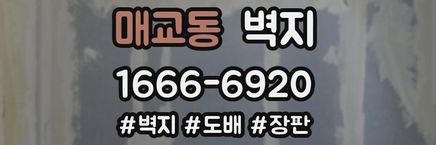매교동 벽지