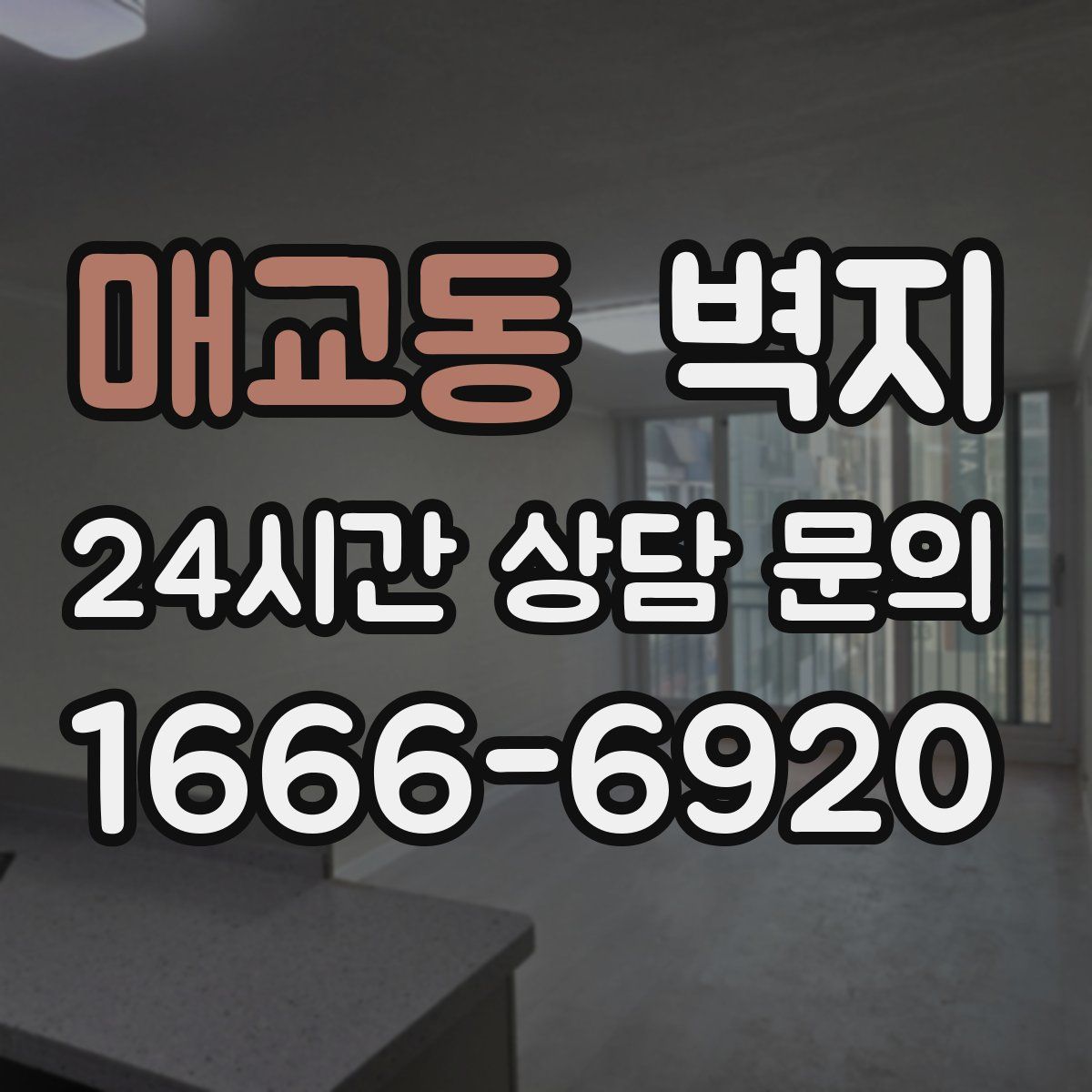 매교동 벽지