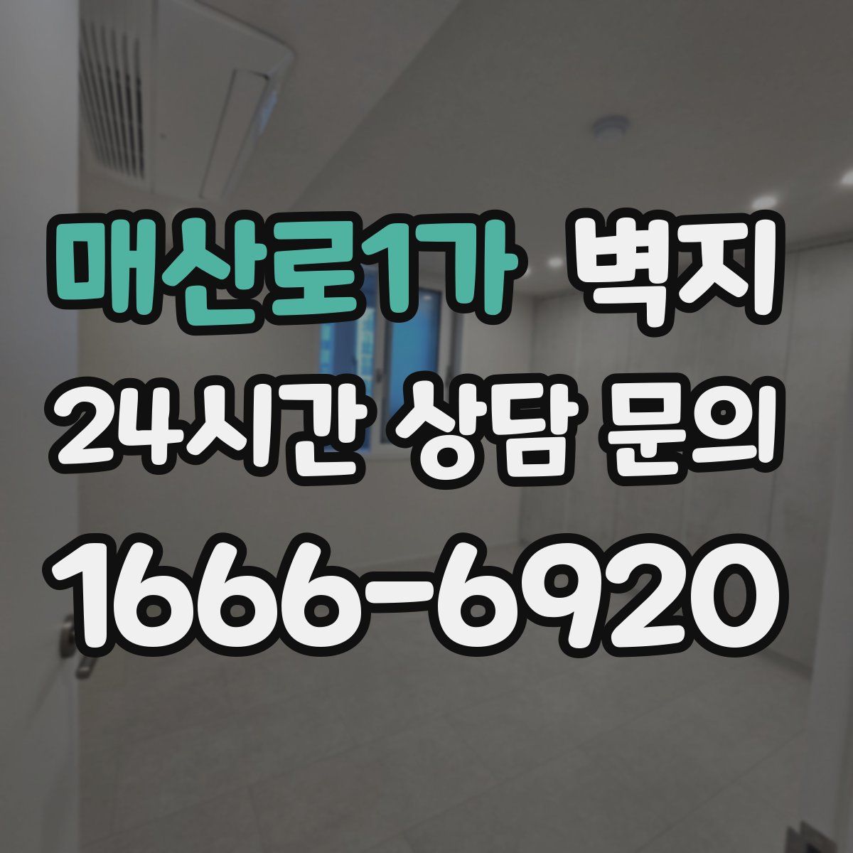 매산로1가 벽지