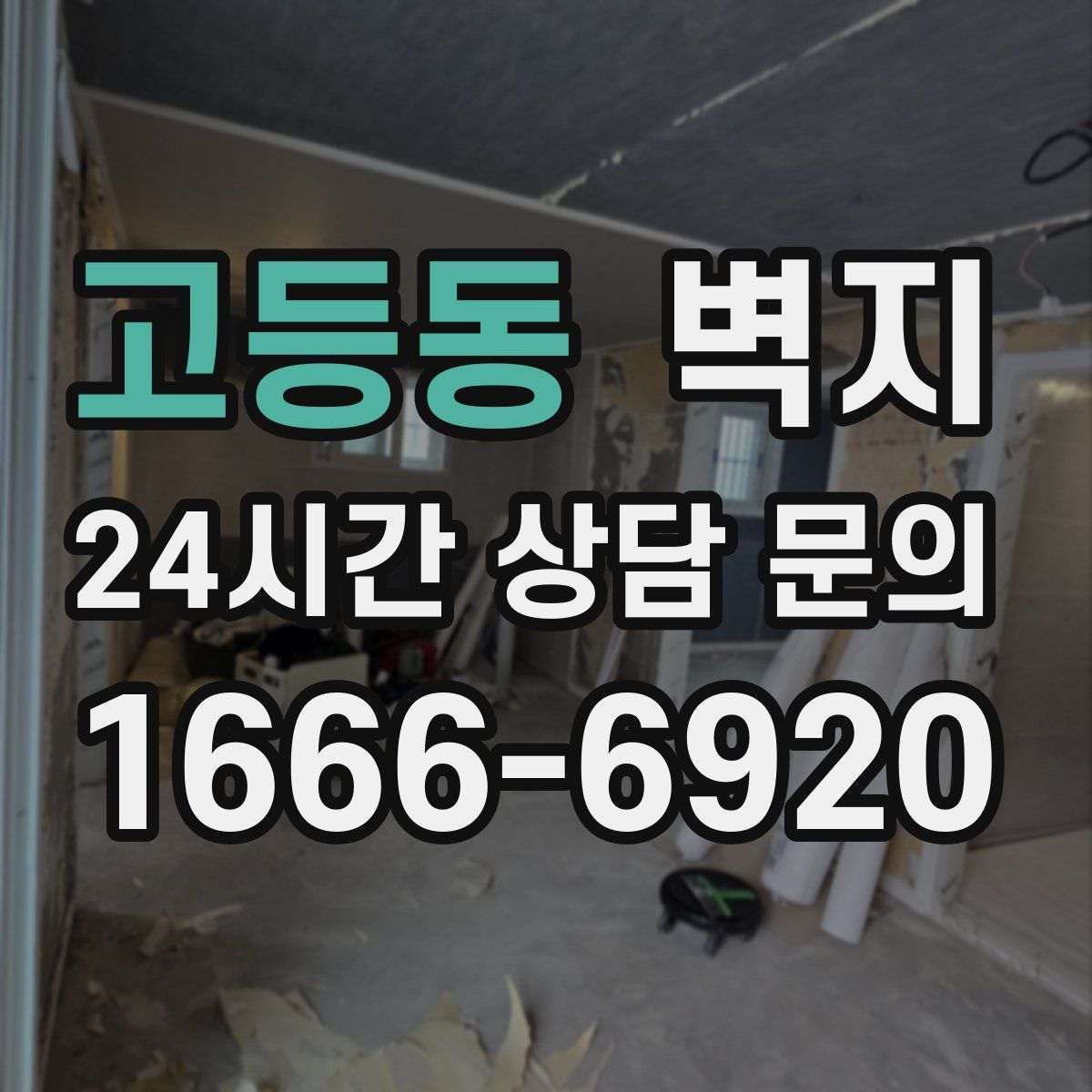 고등동 벽지