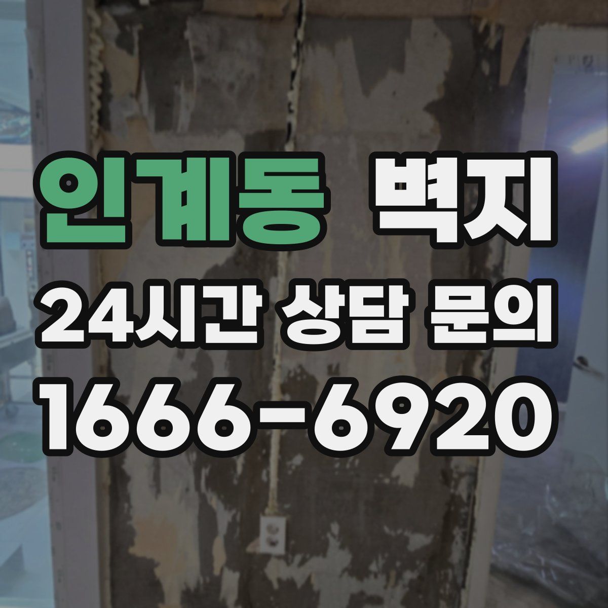 인계동 벽지
