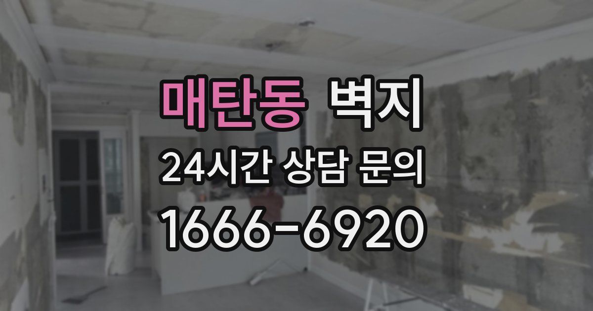 매탄동 벽지