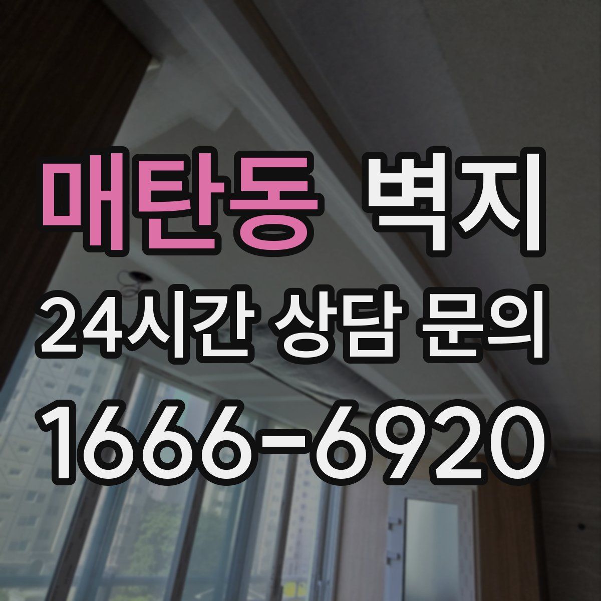 매탄동 벽지