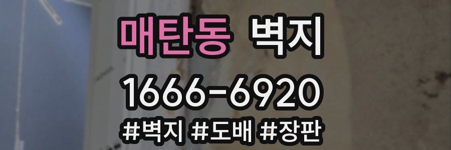 매탄동 벽지