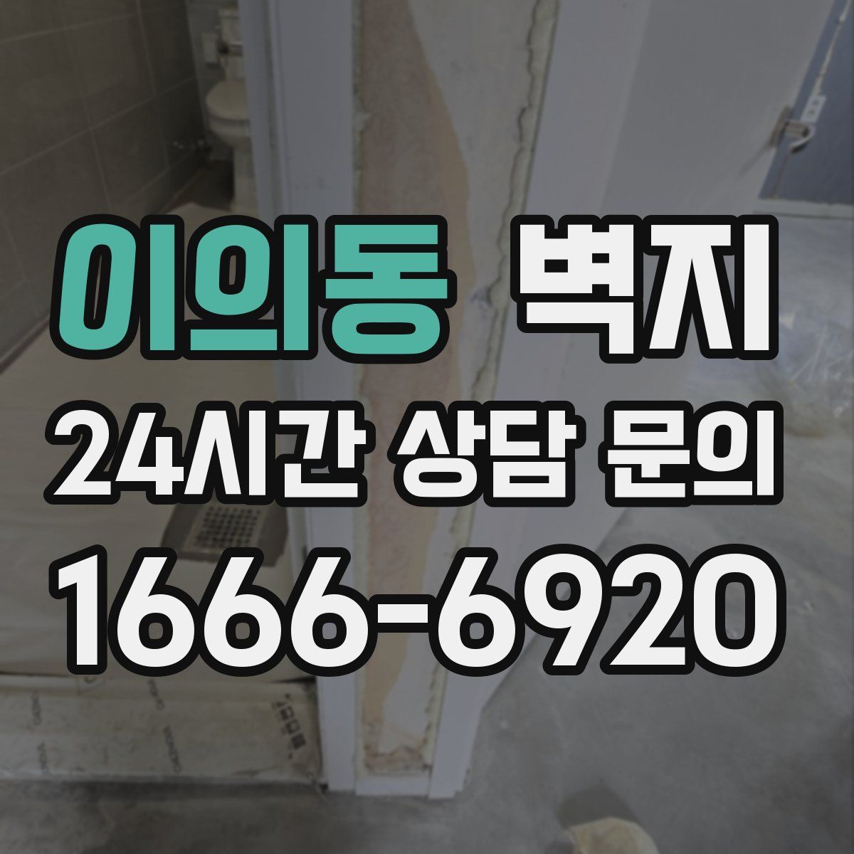 이의동 벽지