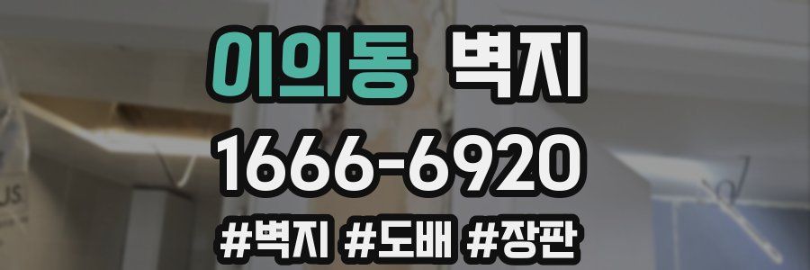 이의동 벽지