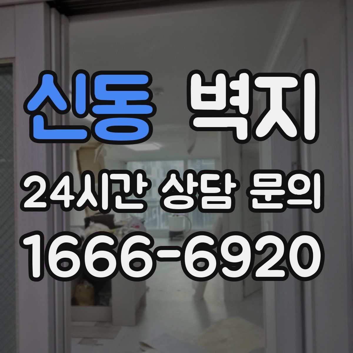 신동 벽지