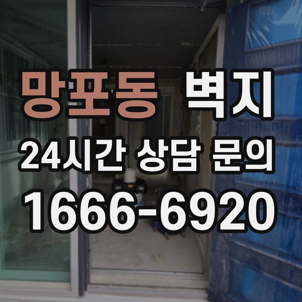 망포동 벽지