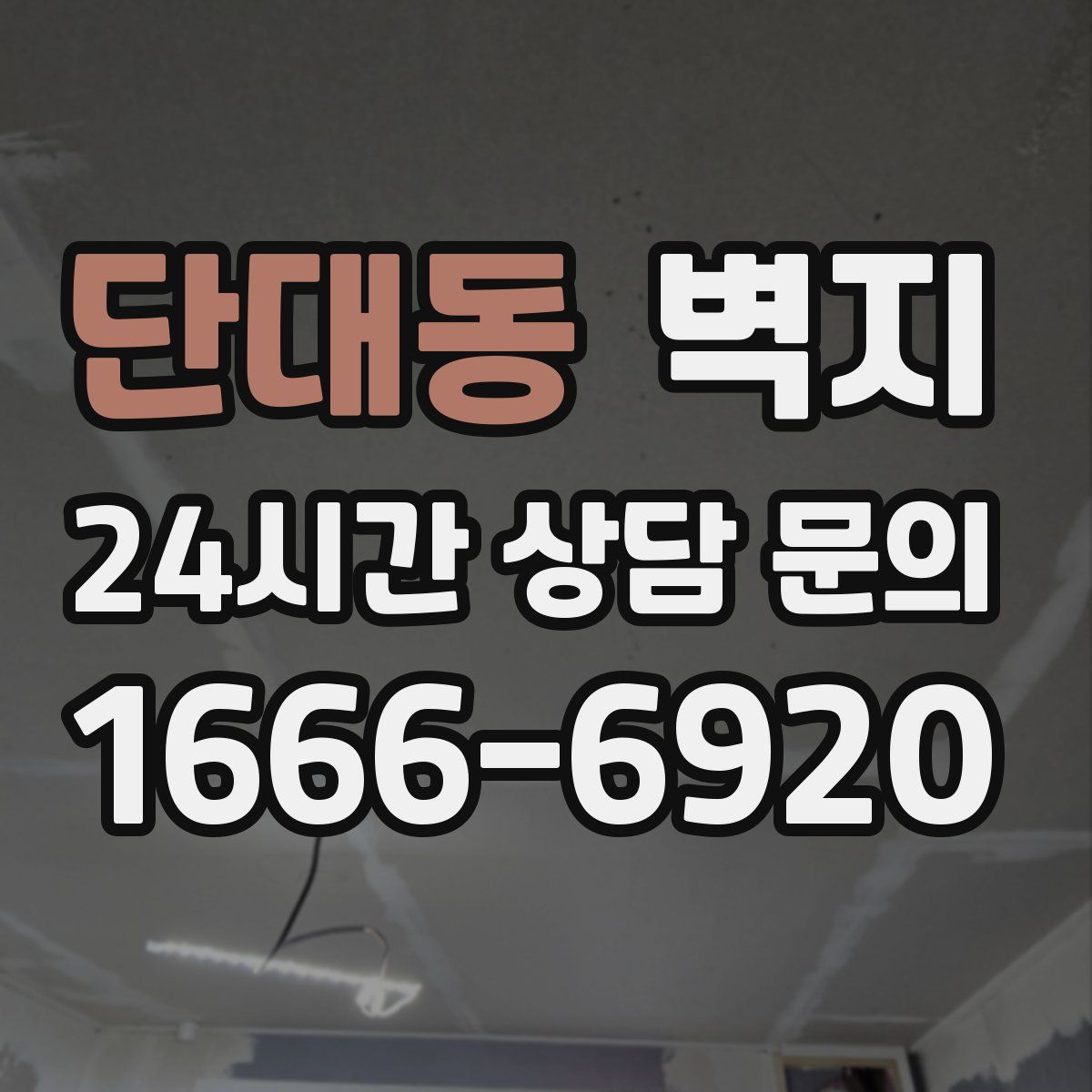 단대동 벽지