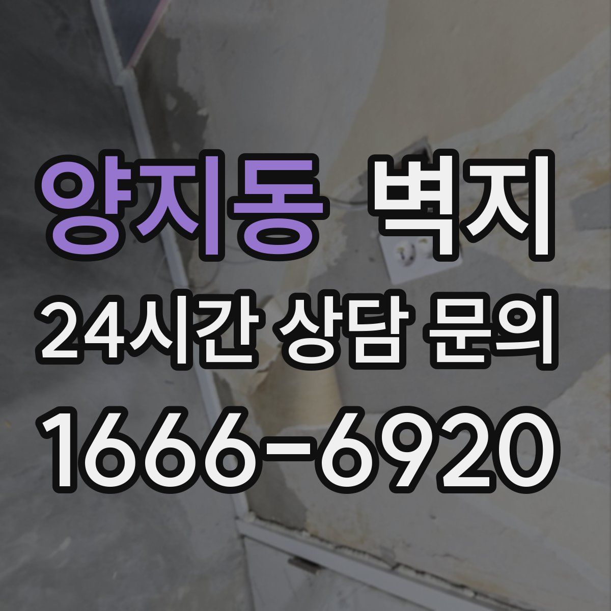 양지동 벽지