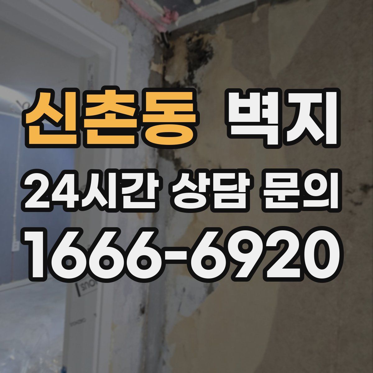 신촌동 벽지