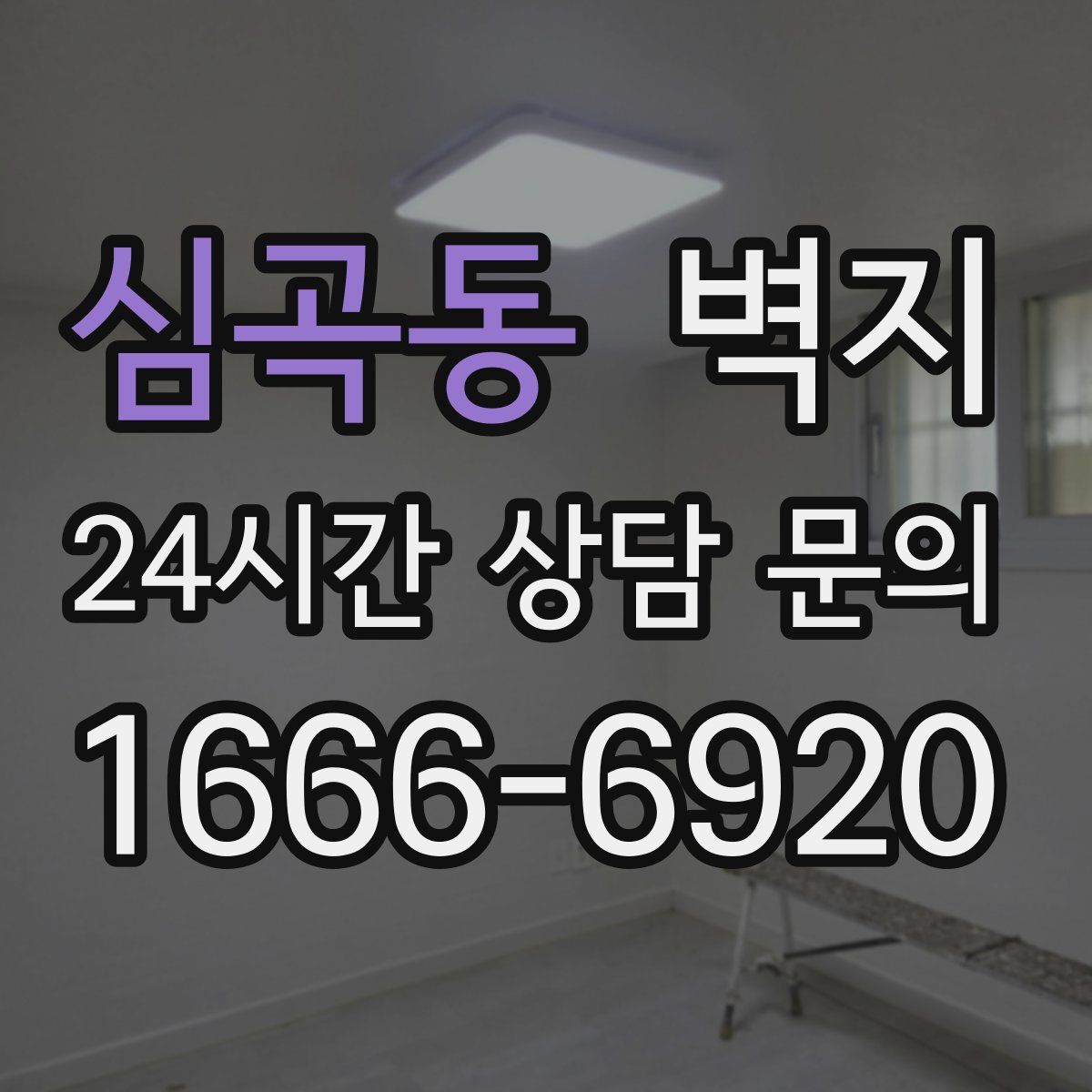 심곡동 벽지