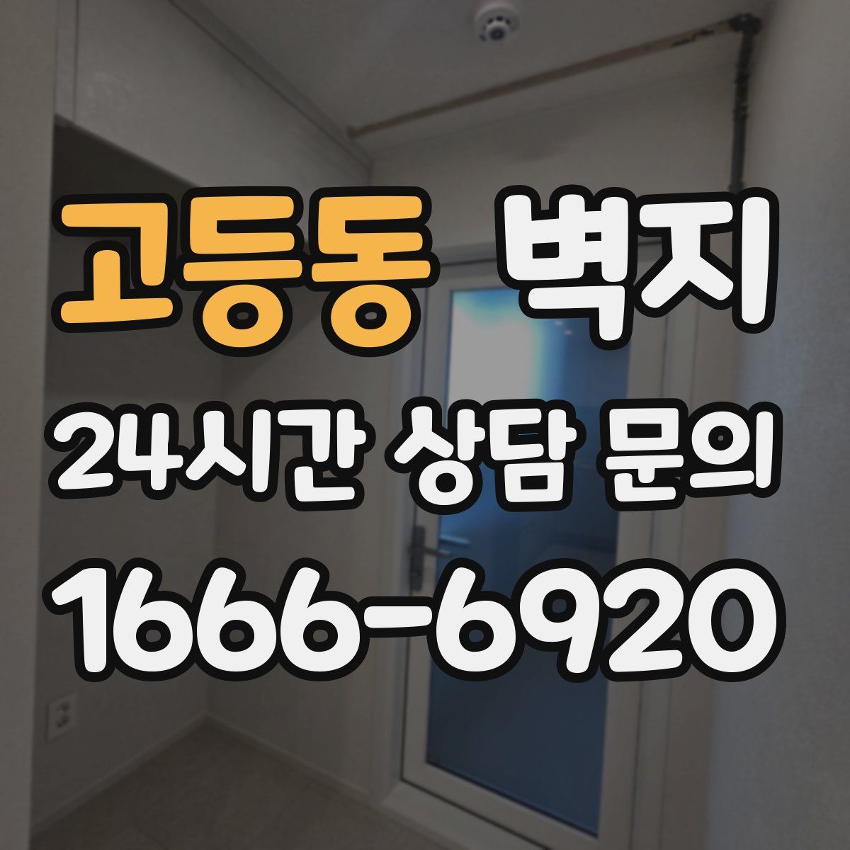 고등동 벽지