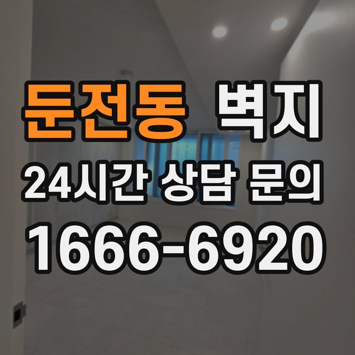 둔전동 벽지