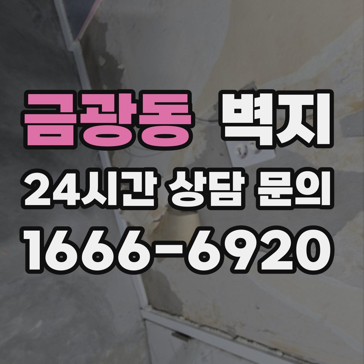 금광동 벽지