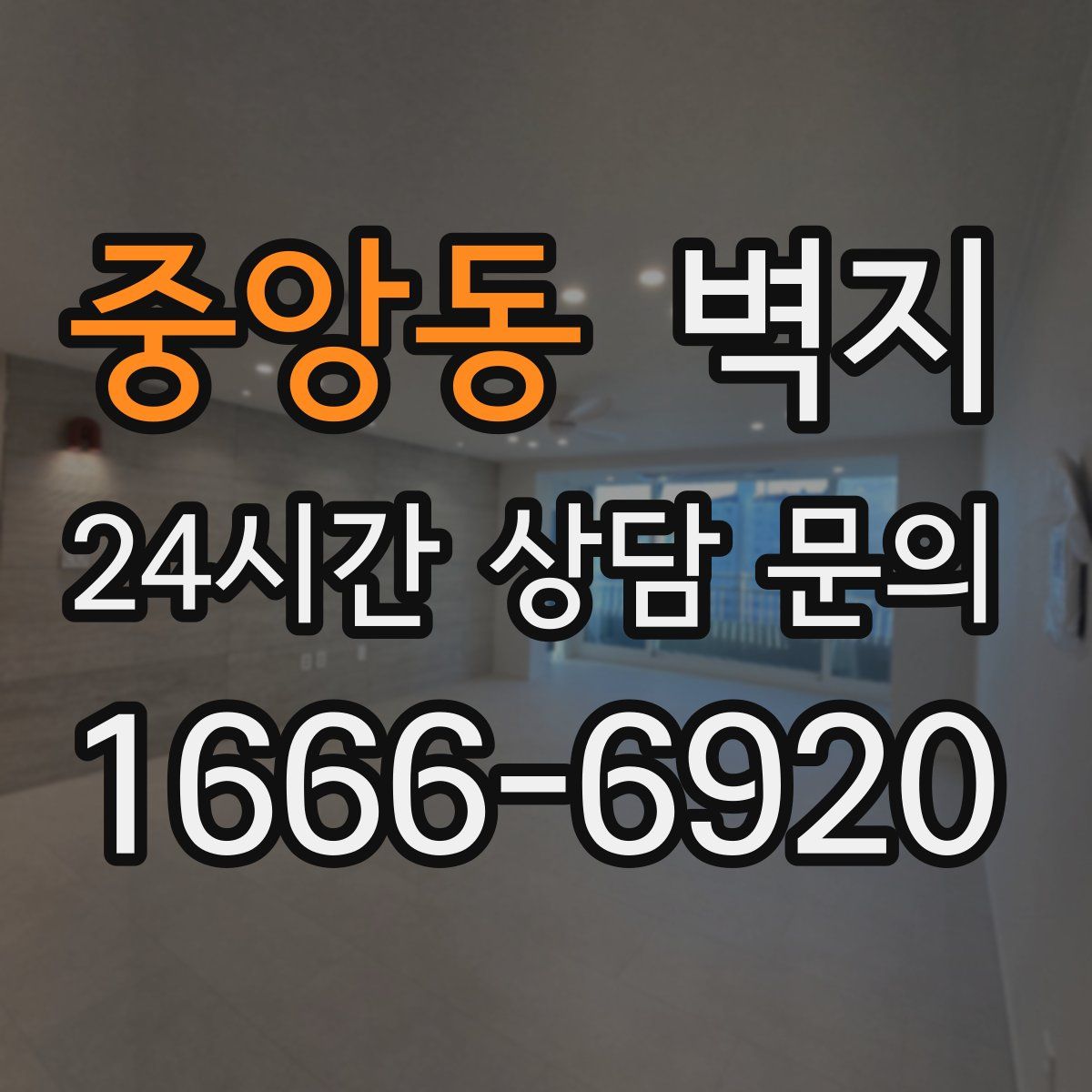 중앙동 벽지