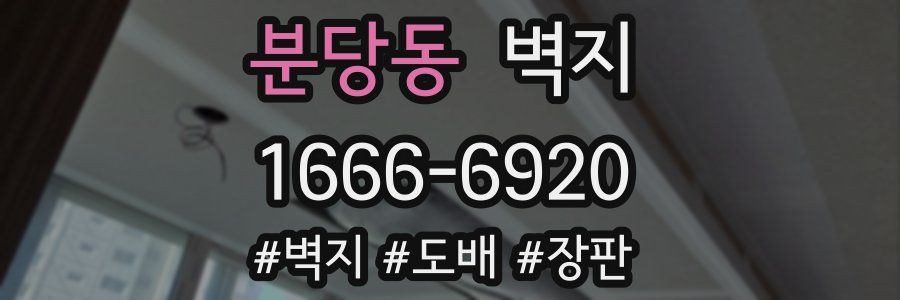 분당동 벽지