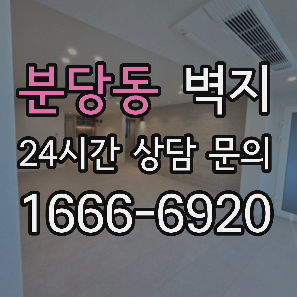 분당동 벽지