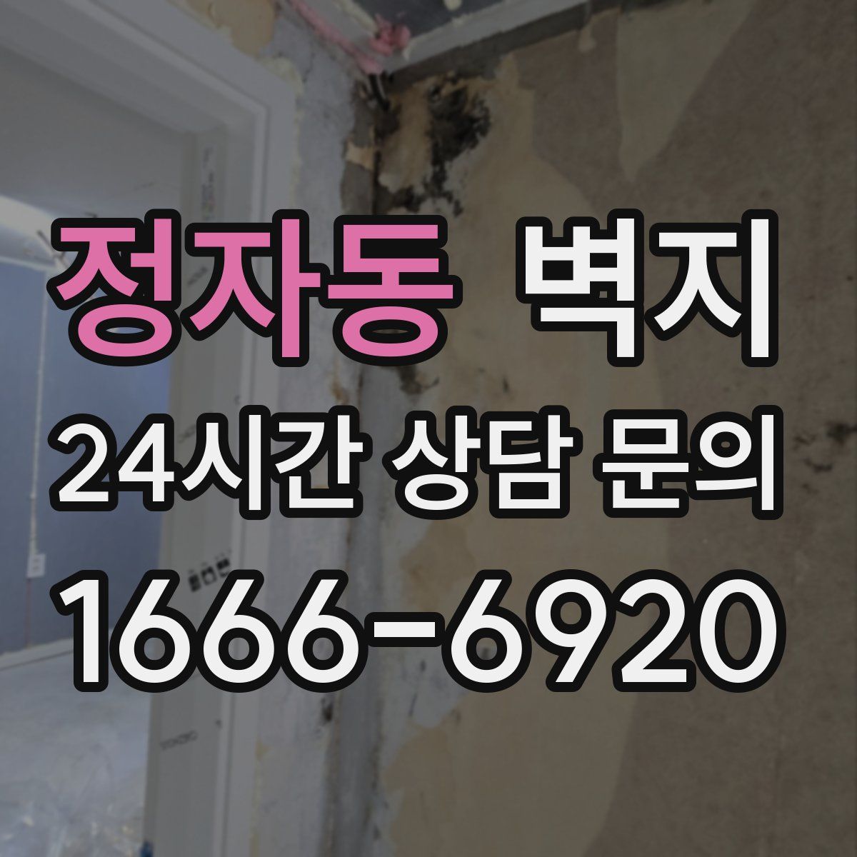 정자동 벽지