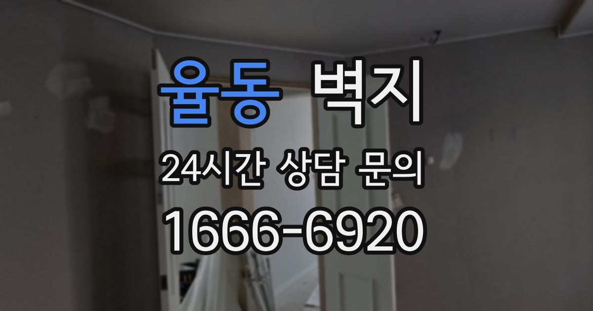 율동 벽지