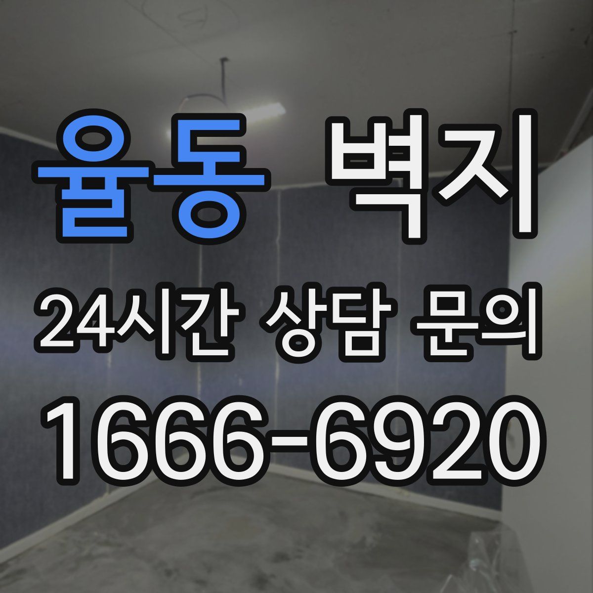 율동 벽지