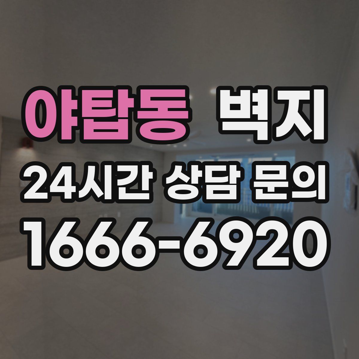 야탑동 벽지
