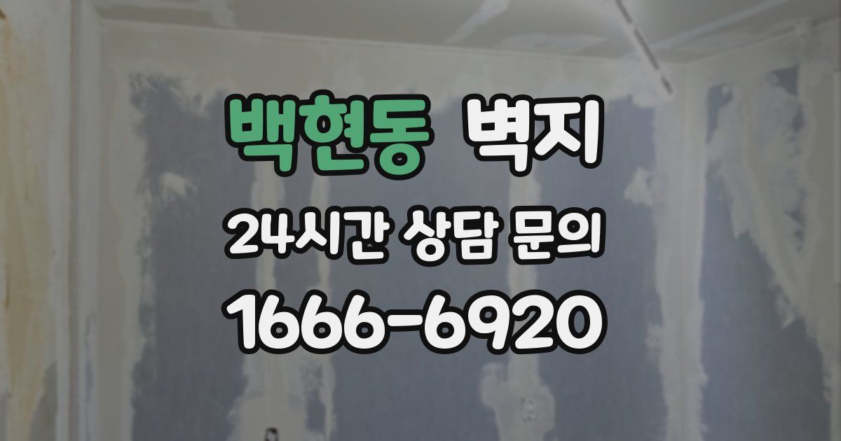 백현동 벽지