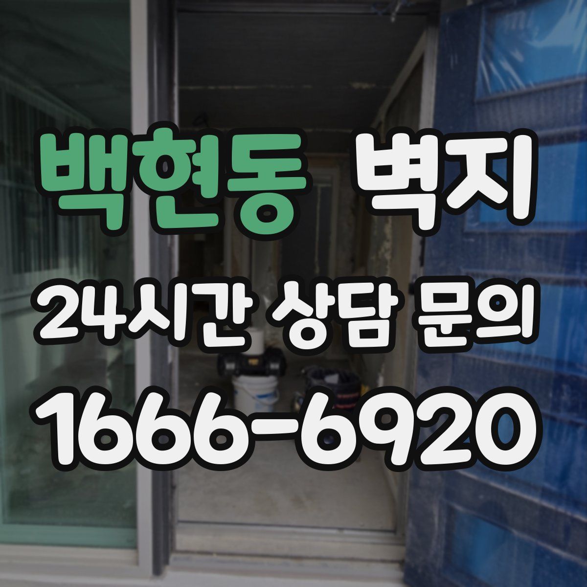 백현동 벽지