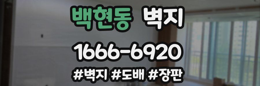 백현동 벽지