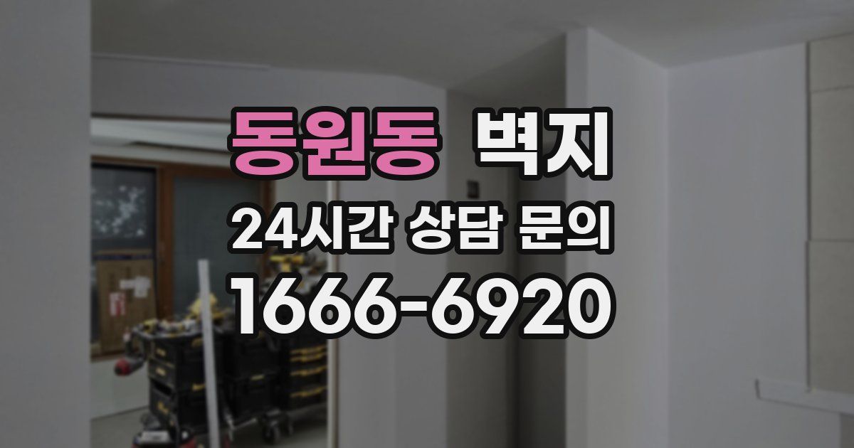 동원동 벽지