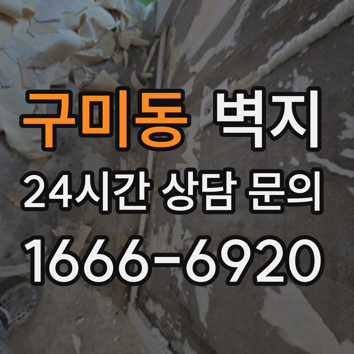 구미동 벽지