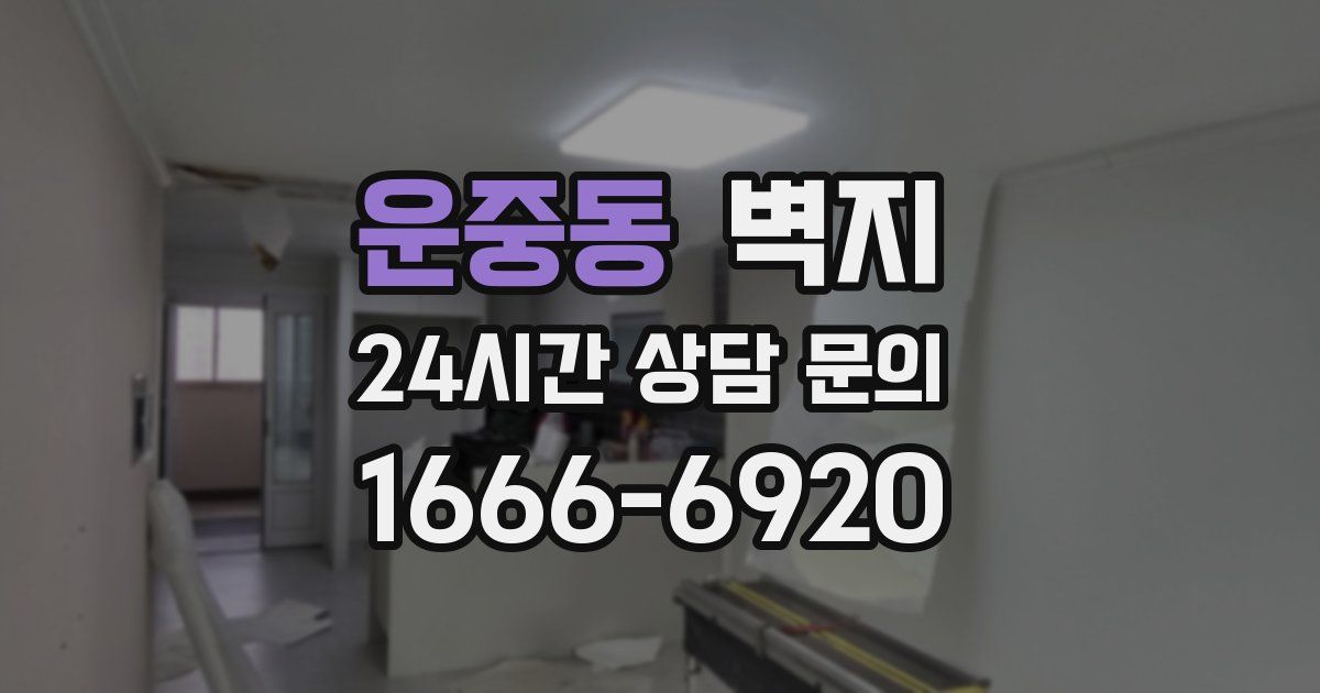 운중동 벽지