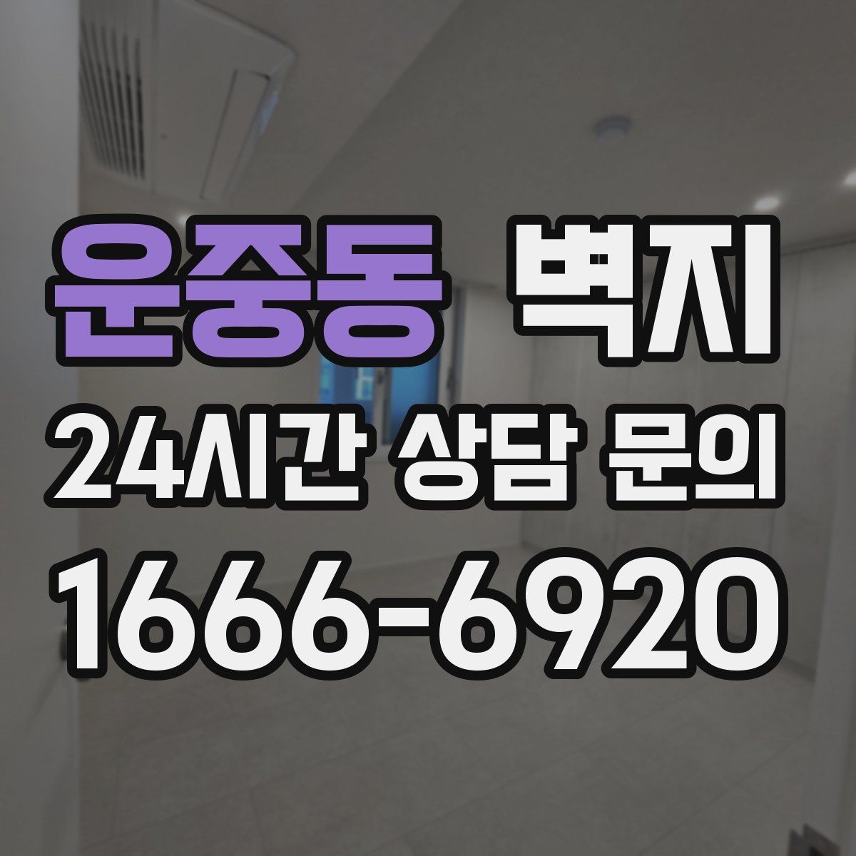 운중동 벽지