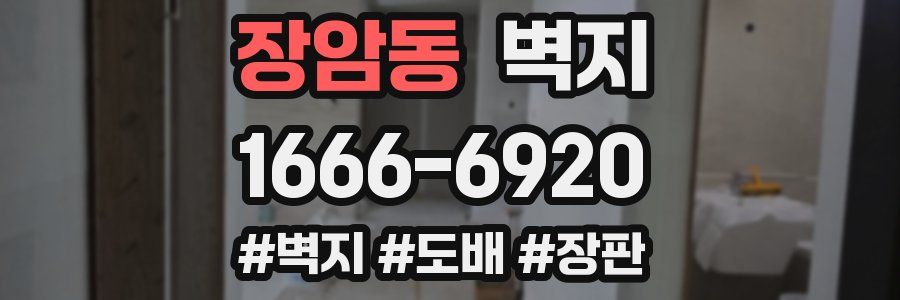 장암동 벽지