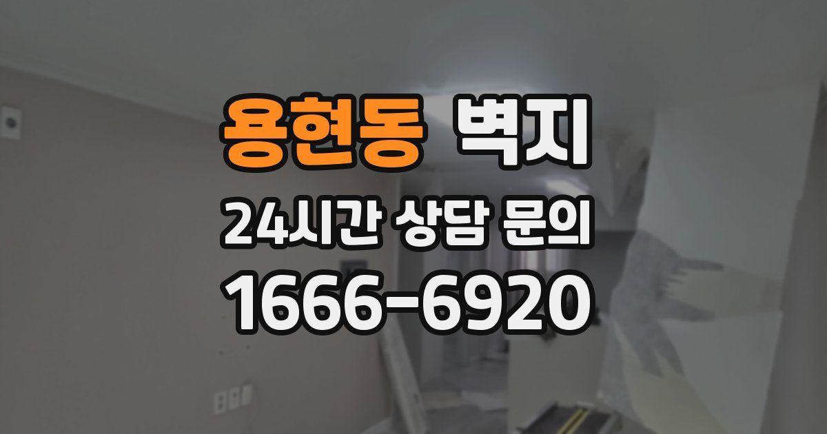 용현동 벽지