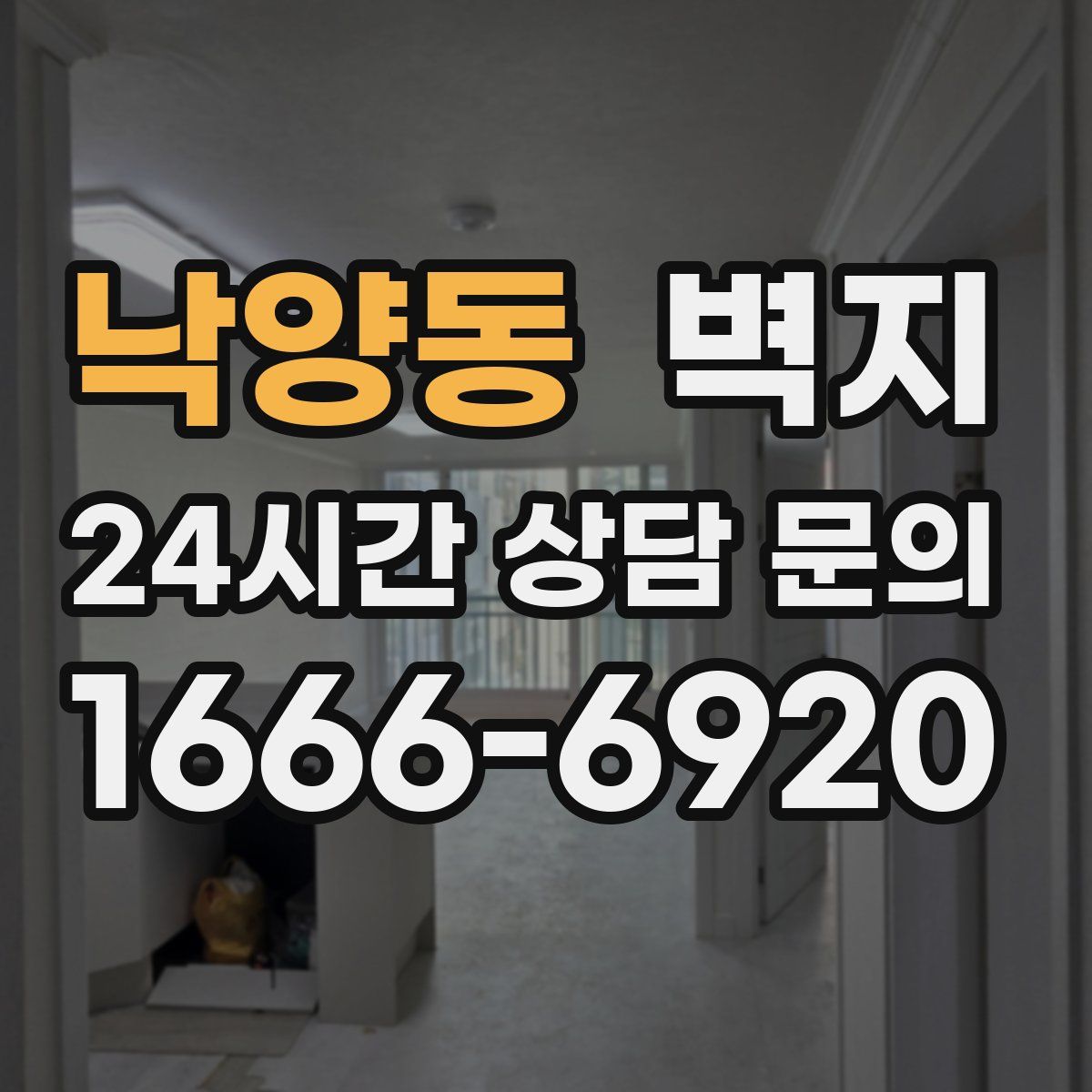 낙양동 벽지