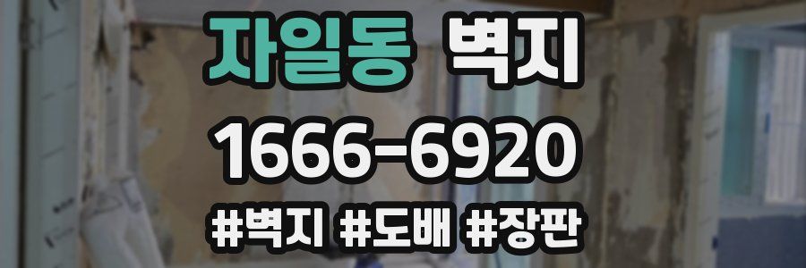 자일동 벽지