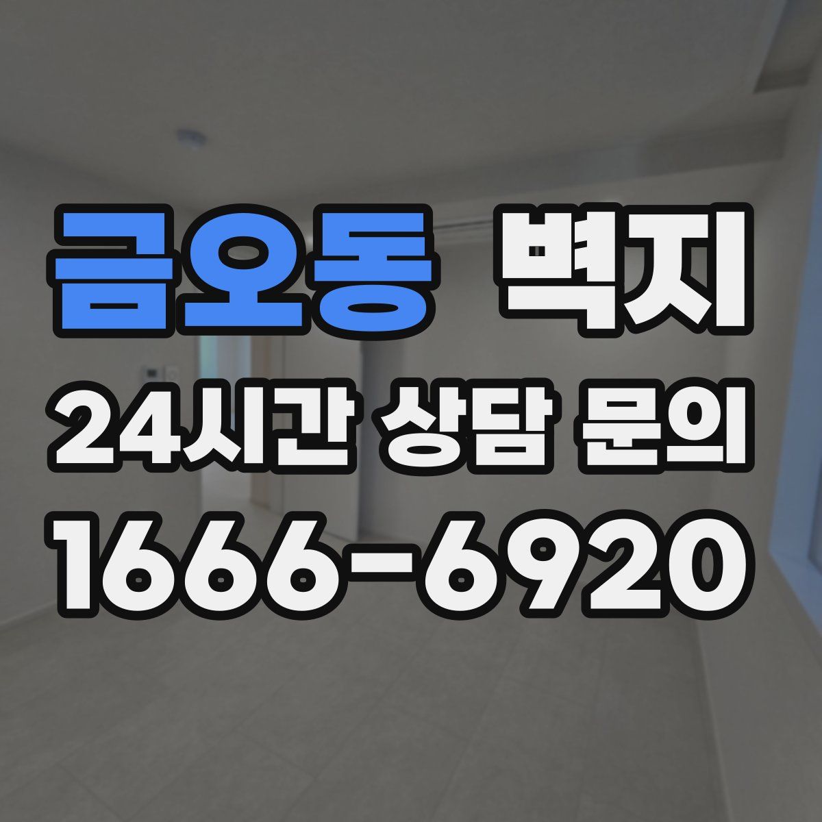 금오동 벽지