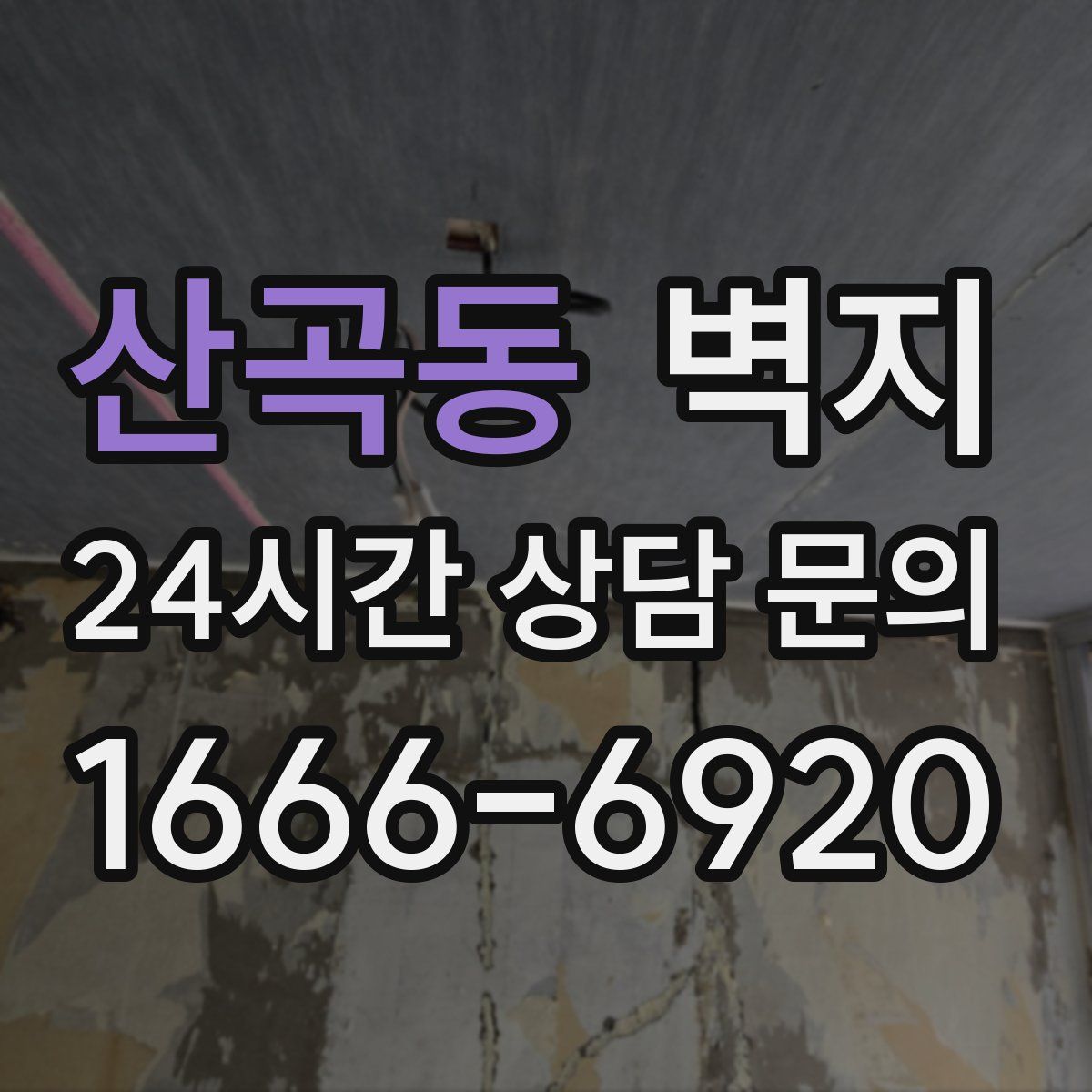산곡동 벽지