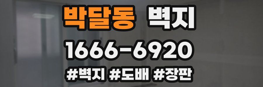 박달동 벽지
