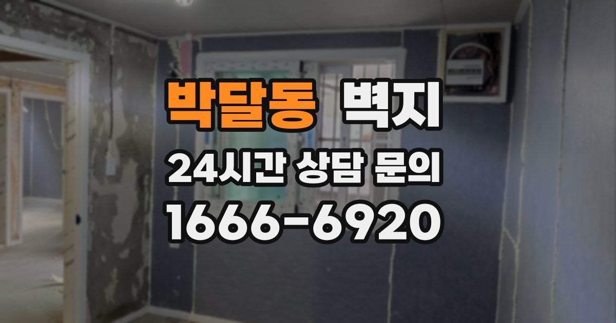 박달동 벽지