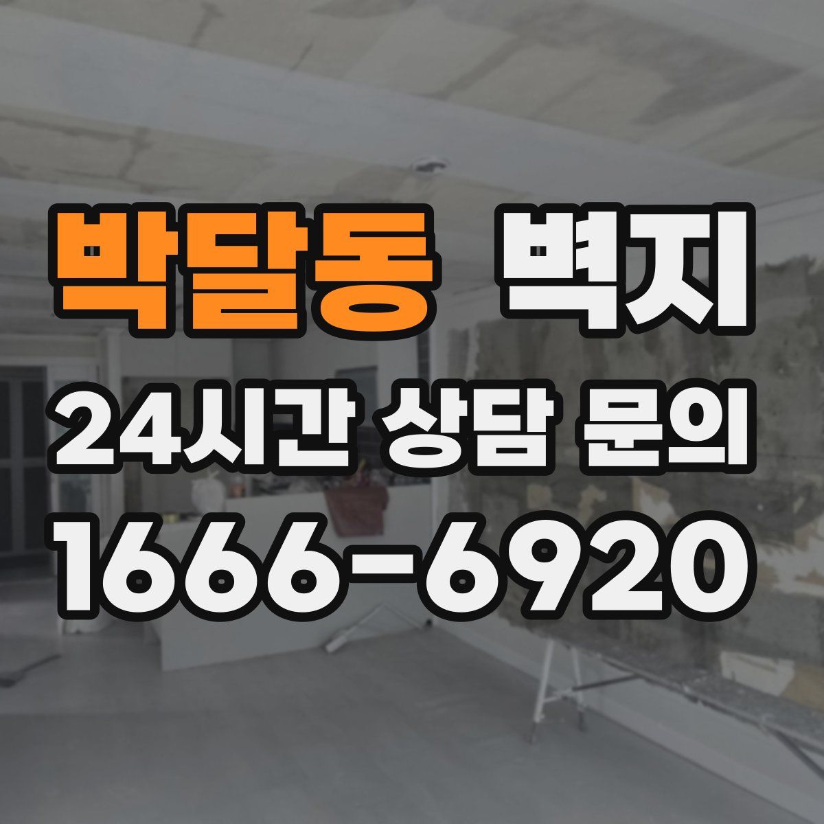 박달동 벽지