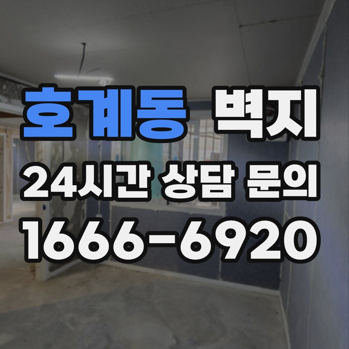 호계동 벽지