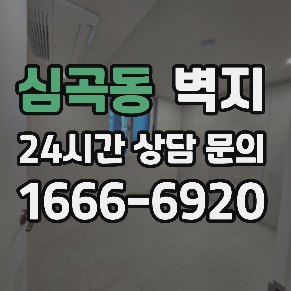 심곡동 벽지