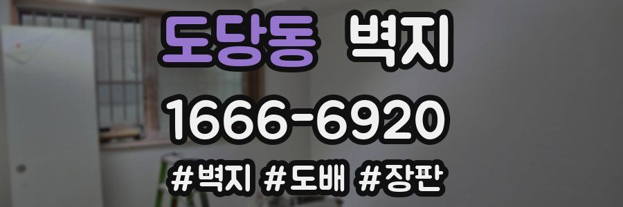 도당동 벽지