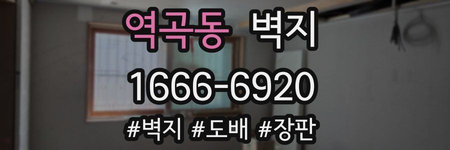 역곡동 벽지