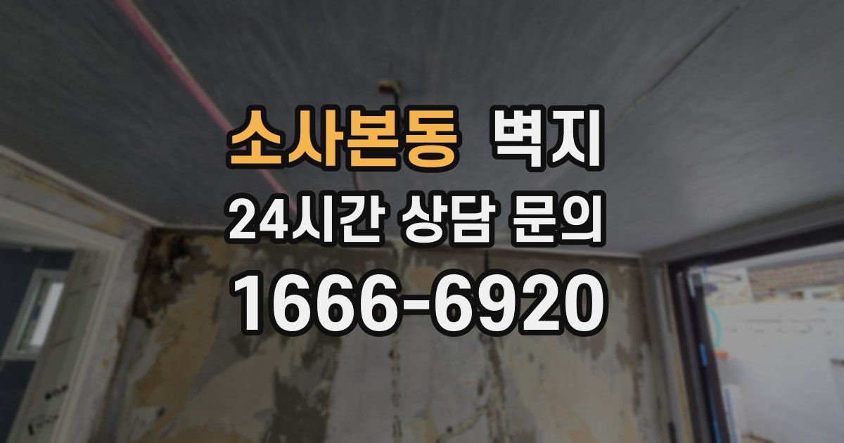 소사본동 벽지