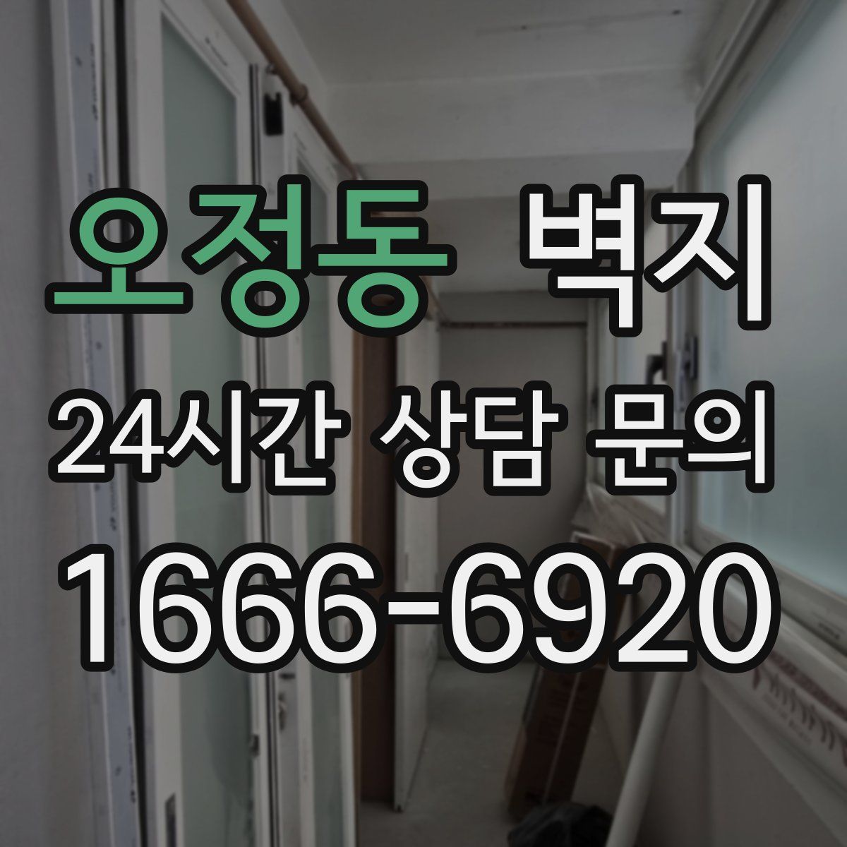 오정동 벽지